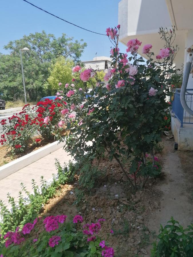 דירות הרקליון Elva Creta מראה חיצוני תמונה